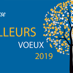 Ulysse dresse un bilan 2018 très positif