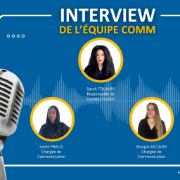 plongée au cœur de l'équipe communication du réseau ulysse